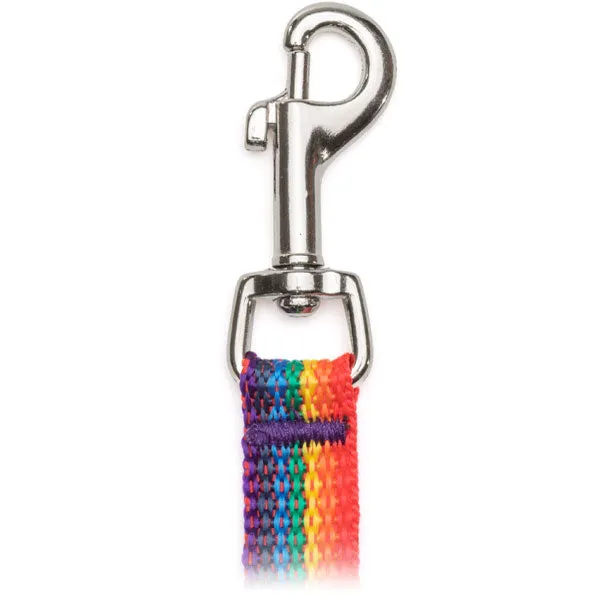 #106 Flat Leashes with Bolt Snap (9/16" x 4')