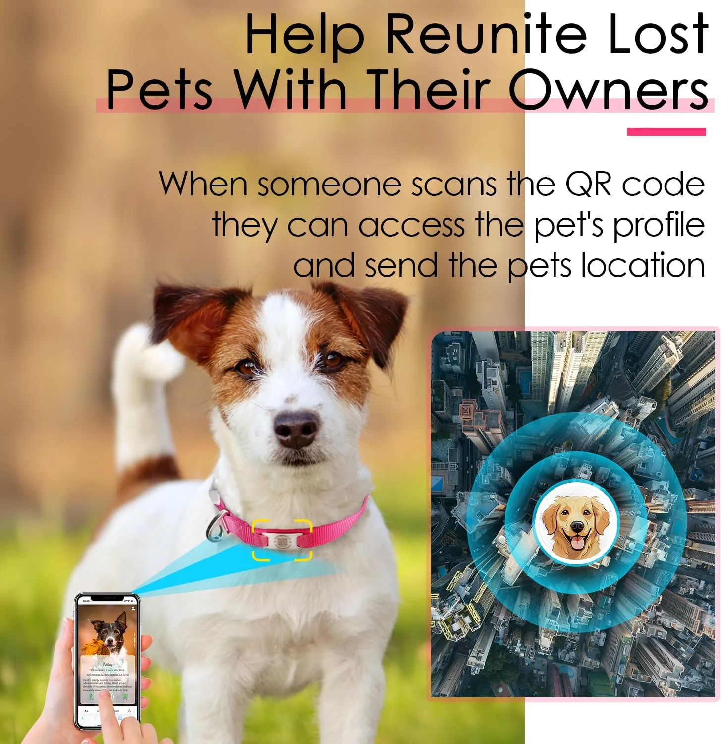 ADVENTUREMORE Smart ID Tag QR Code Nylon Dog Collar - Prevents Small, Medium, Large Dogs from Getting Lost at Night, Displays Owner and Pet Details - Durable, Adjustable, Thick-Rose-Small