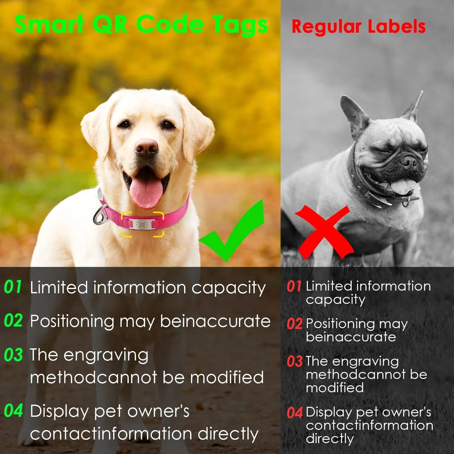 ADVENTUREMORE Smart ID Tag QR Code Nylon Dog Collar - Prevents Small, Medium, Large Dogs from Getting Lost at Night, Displays Owner and Pet Details - Durable, Adjustable, Thick-Rose-Small