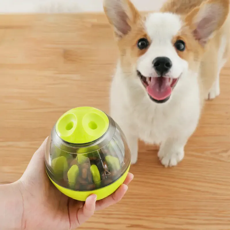 Amazing Pets IQ Treat Toys
