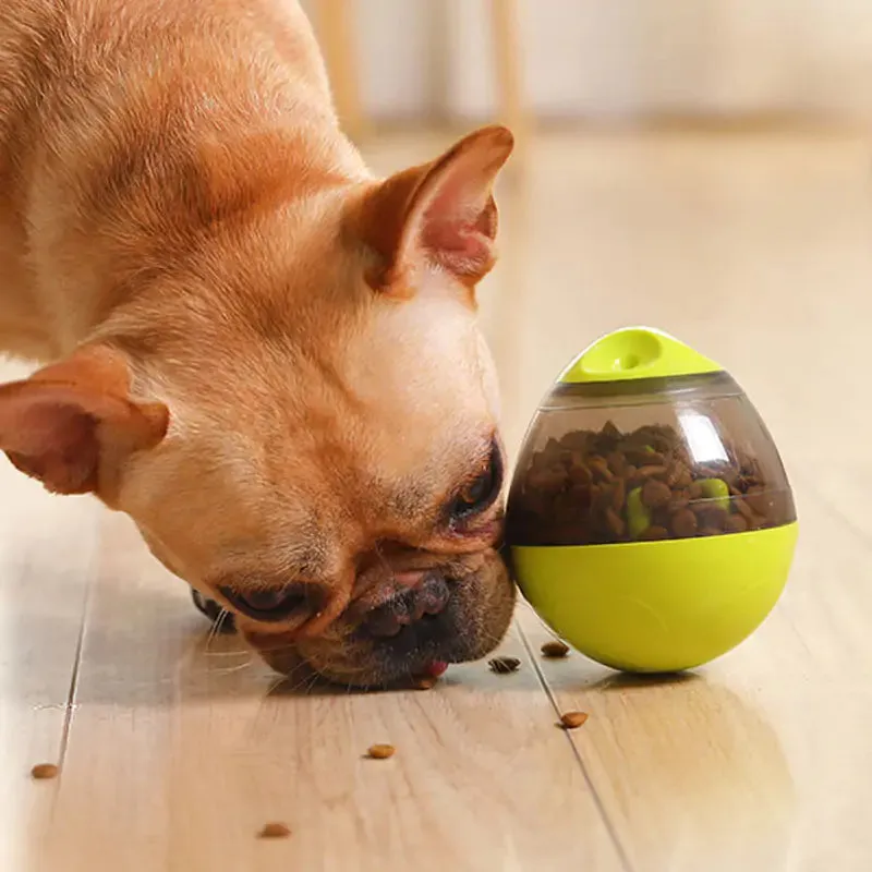 Amazing Pets IQ Treat Toys