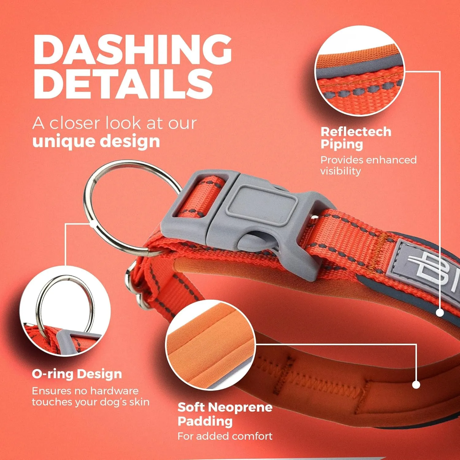 BLAZIN Reflective Dog Collar O-Ring Closure Design for Sensitive Dogs - Soft Neoprene Padding O So Comfy' Dog Collars - Waterproof (Medium, Orange)
