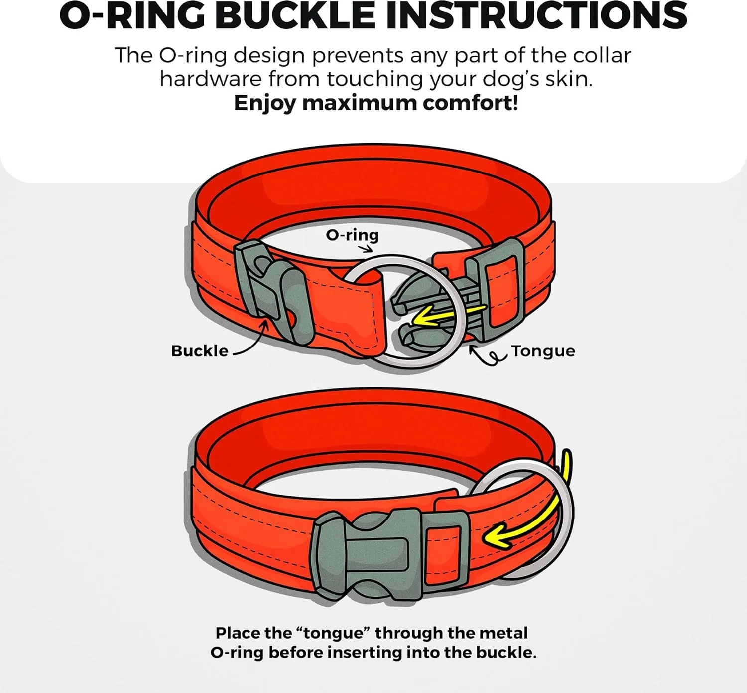 BLAZIN Reflective Dog Collar O-Ring Closure Design for Sensitive Dogs - Soft Neoprene Padding O So Comfy' Dog Collars - Waterproof (Medium, Orange)