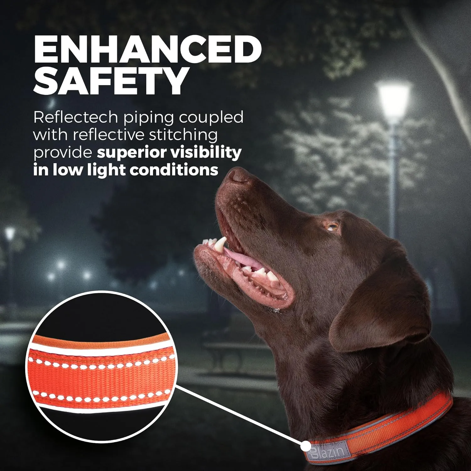 BLAZIN Reflective Dog Collar O-Ring Closure Design for Sensitive Dogs - Soft Neoprene Padding O So Comfy' Dog Collars - Waterproof (Medium, Orange)