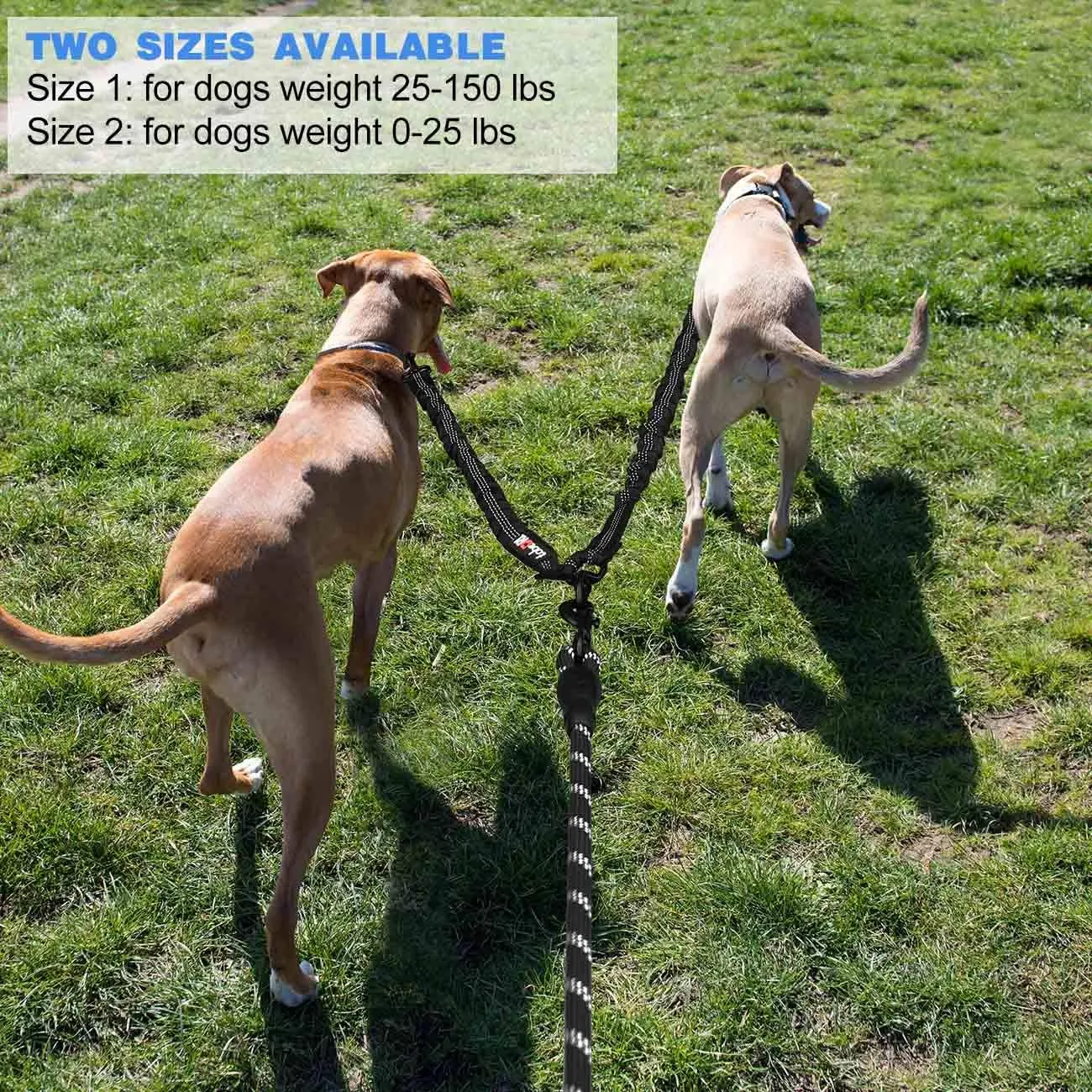 Comfortable Dual Dog Leash Tangle Free with Shock Absorbing Bungee Reflective 2 Dog Leashes for Large Medium Small Dogs (Black 0-25 lbs)