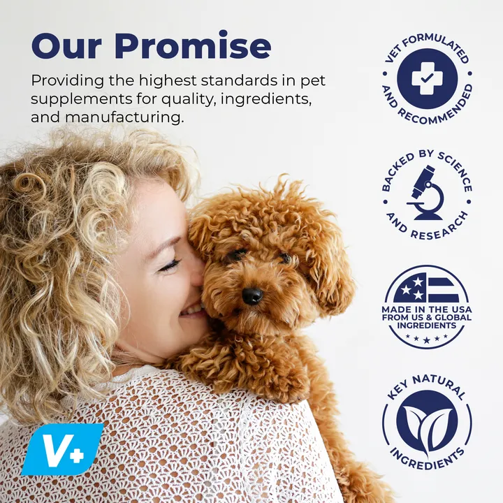 Dermabliss™ Anti-Bacterial & Anti-Fungal Chlorhexidine Wipes - VetPass Free Sample