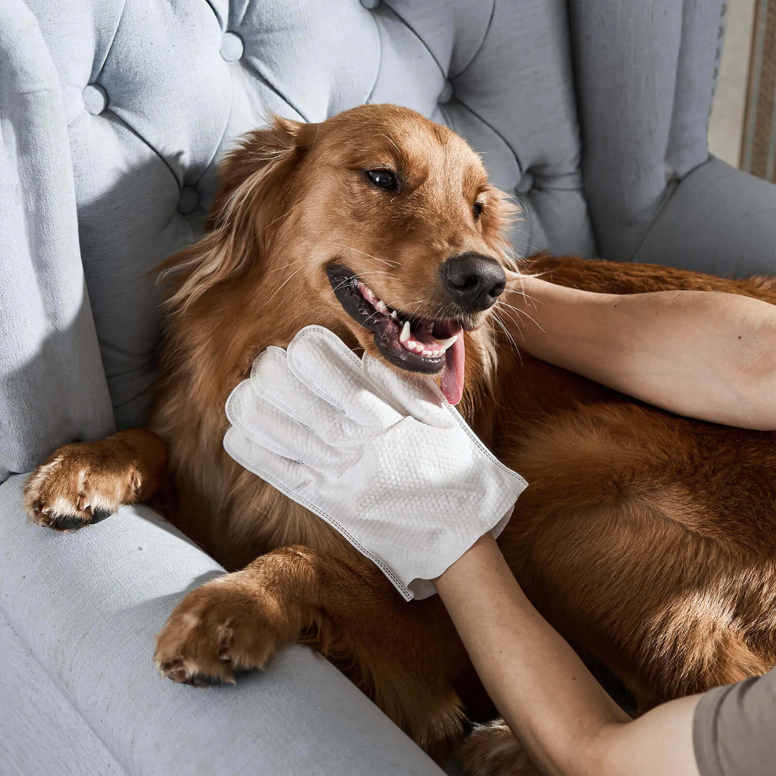 HICC Pet® Deodorizing Pet Glove Wipes For Dogs, Lemon Verbena Scent, 20 Pcs