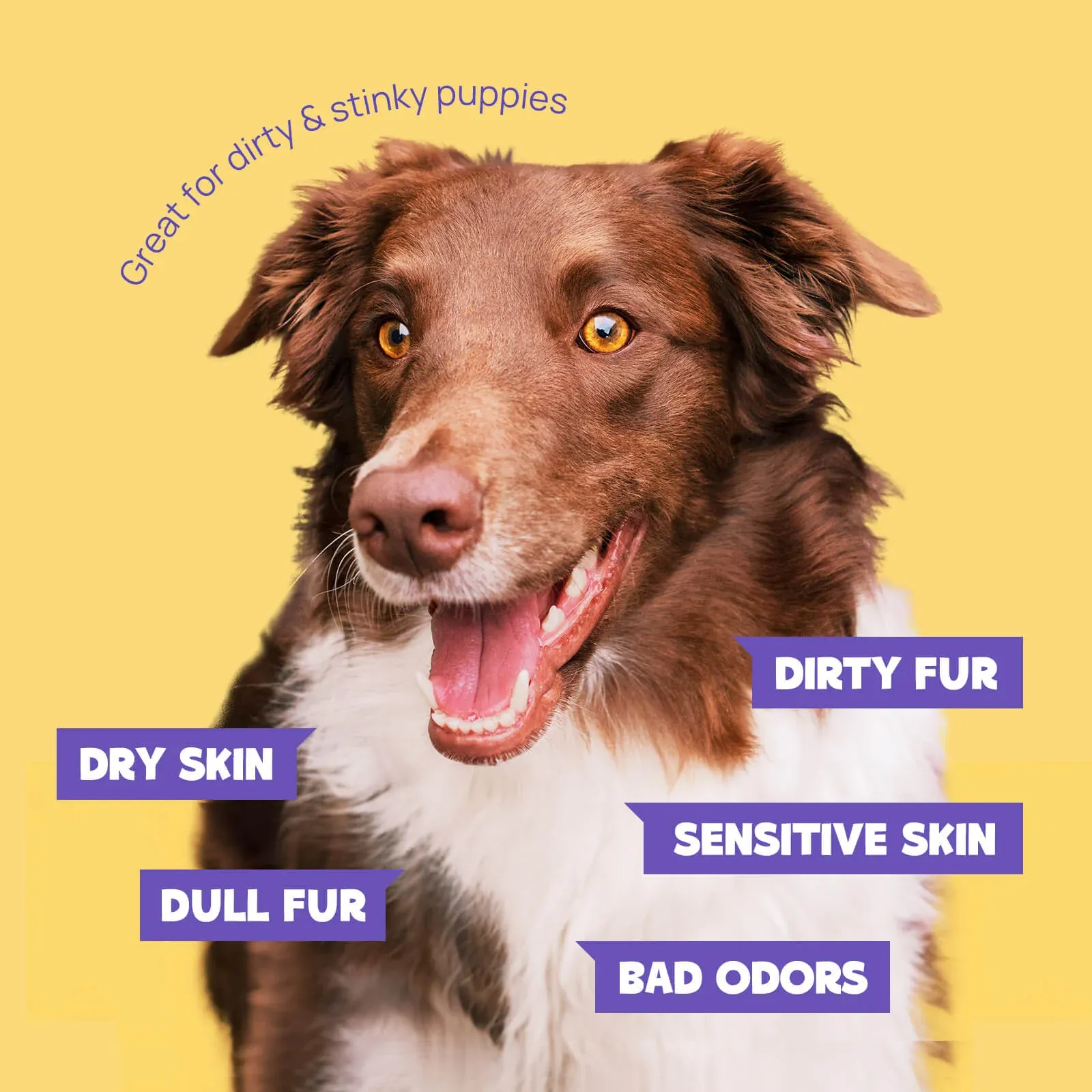 HICC Pet® Deodorizing Pet Glove Wipes For Dogs, Lemon Verbena Scent, 20 Pcs