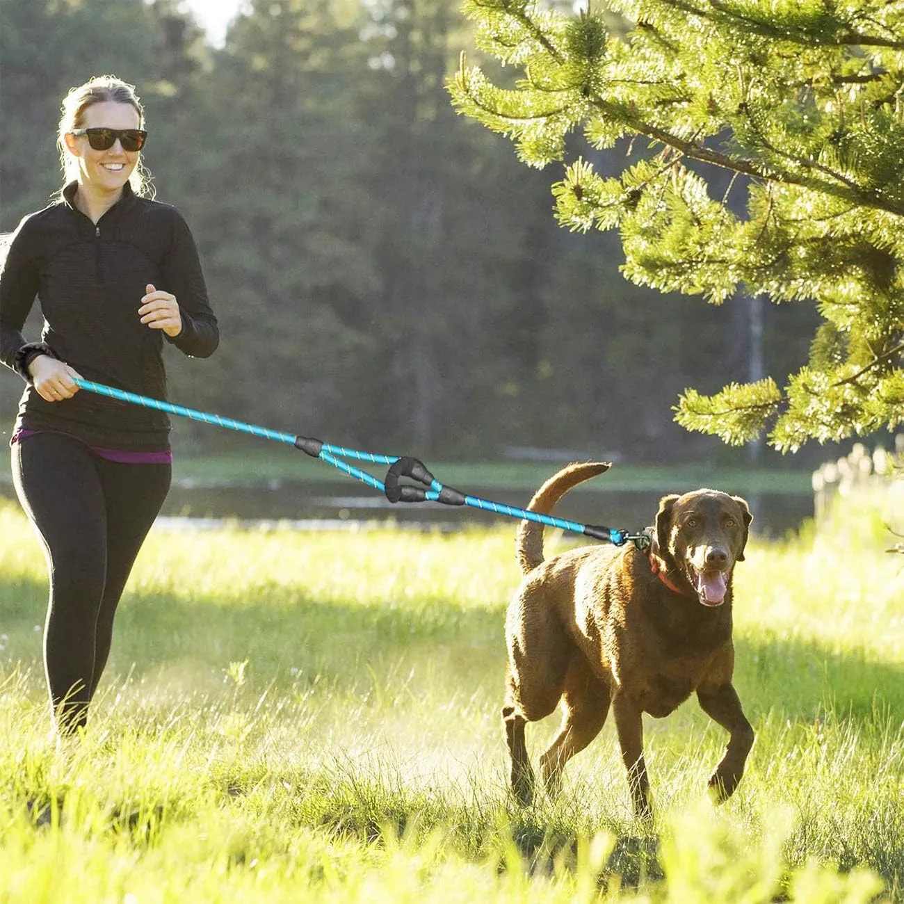 JSXD Heavy Duty Double Handle Dog Leash - 5 FT, Padded & Reflective, Rope for Small to Large Dogs (Blue)