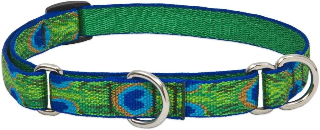 LupinePet Originals 3/4" Tail Feathers 10-14" Martingale Collar for Small Dogs