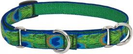 LupinePet Originals 3/4" Tail Feathers 10-14" Martingale Collar for Small Dogs