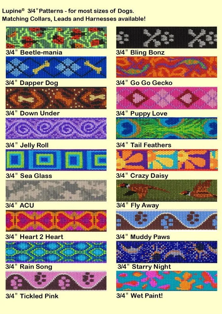 LupinePet Originals 3/4" Tail Feathers 10-14" Martingale Collar for Small Dogs