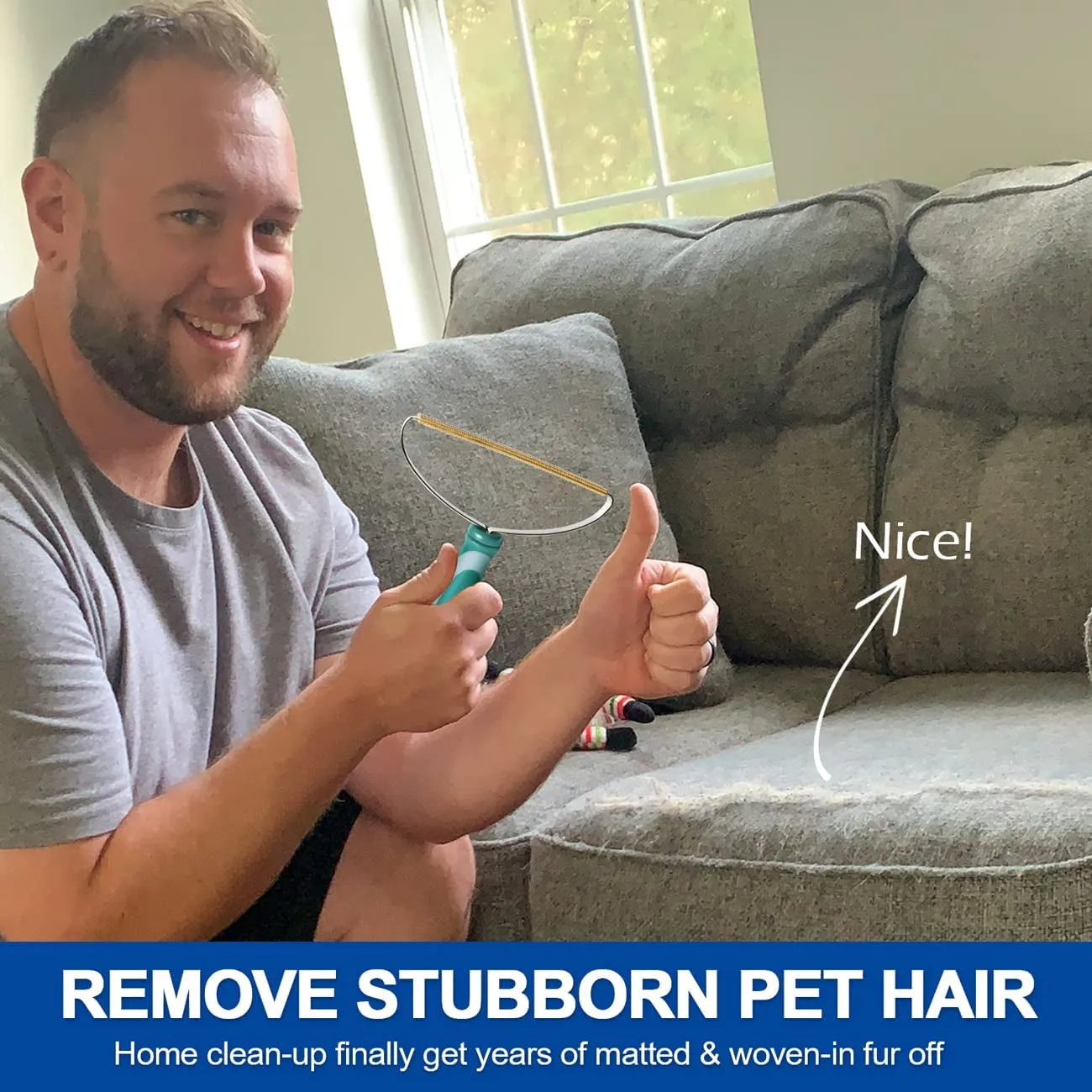 Pet Hair Remover: Deep Cleaning Tool