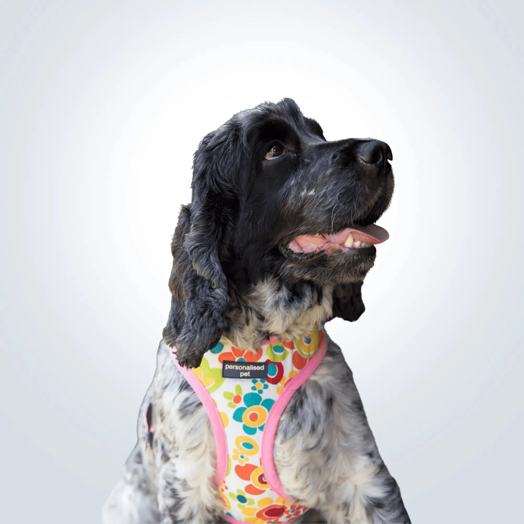 PET HARNESS Floral Pink - Embroidered