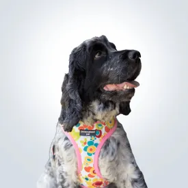 PET HARNESS Floral Pink - Embroidered