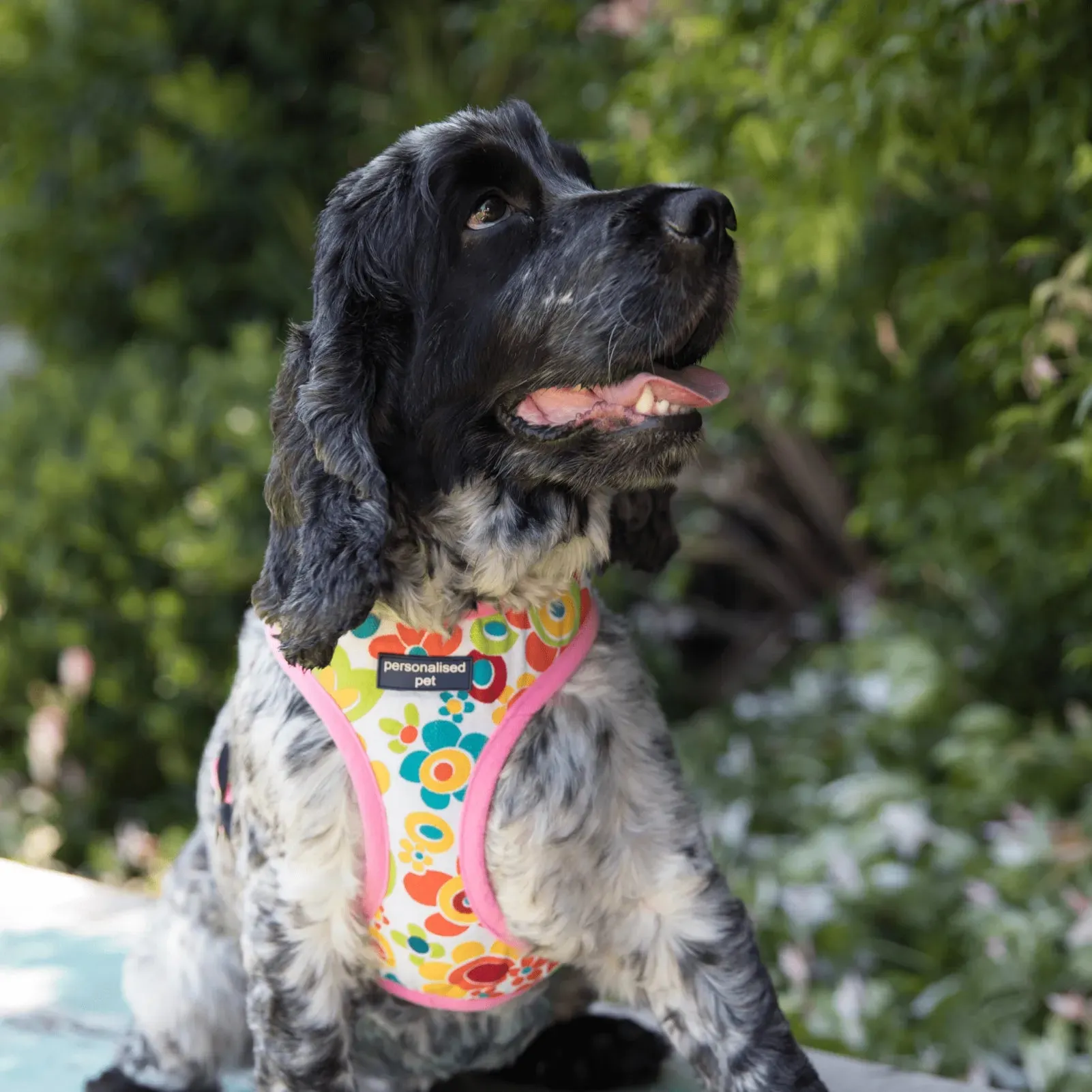 PET HARNESS Floral Pink - Embroidered