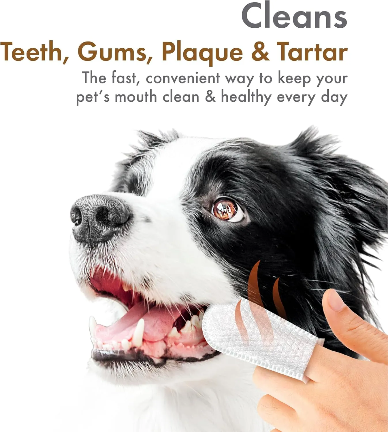 Petkin Fingertip Tooth Wipes for Dogs and Cats, 50 Finger Wipes - Slip-On, Snug Fit, Micro-Bristle Fabric - Cleans Teeth, Gums, Plaque & Tartar - Convenient, Ideal for Home and Travel - Peanut Butter