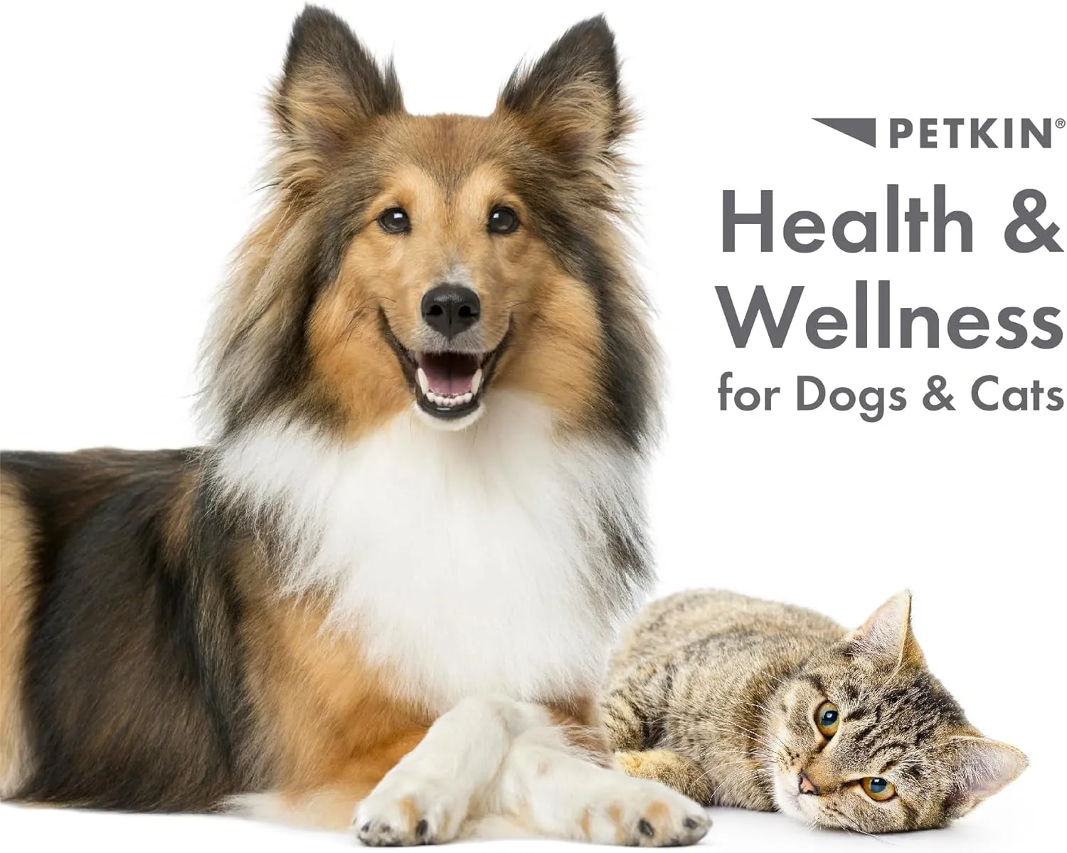 Petkin Fingertip Tooth Wipes for Dogs and Cats, 50 Finger Wipes - Slip-On, Snug Fit, Micro-Bristle Fabric - Cleans Teeth, Gums, Plaque & Tartar - Convenient, Ideal for Home and Travel - Peanut Butter