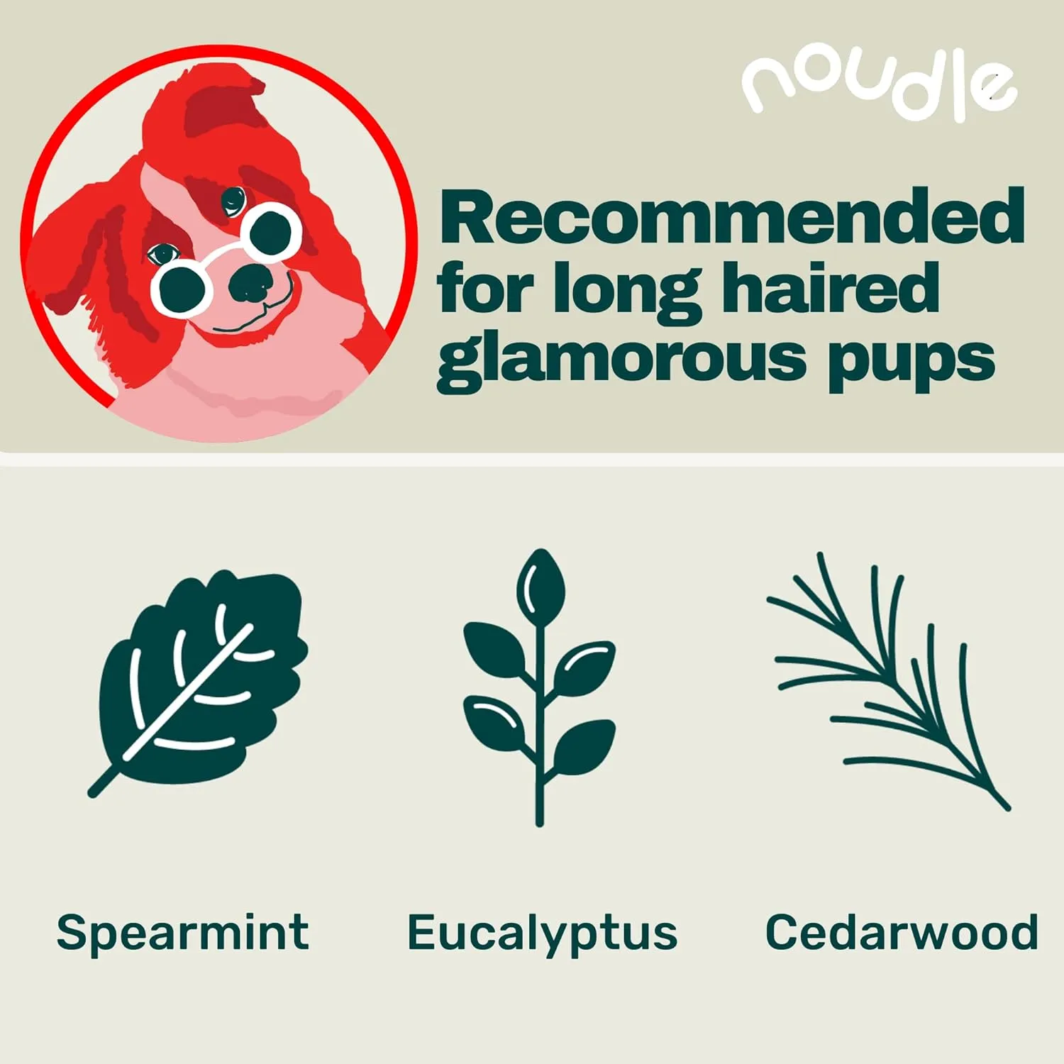 Pets - Revitalizing 2-1 Shampoudle, 16oz, Moisturizing and Gentle All Natural pet Shampoo with Spearmint, Cedarwood, Eucalyptus, and Oatmeal