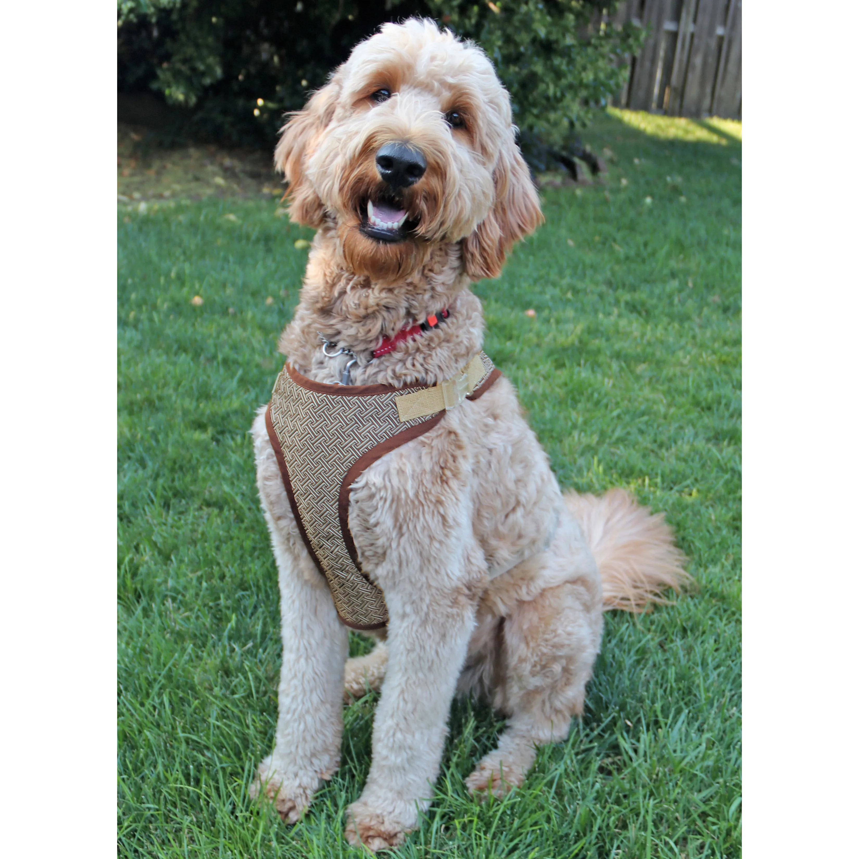 Simplicity Pattern 9664 Pet Accessories