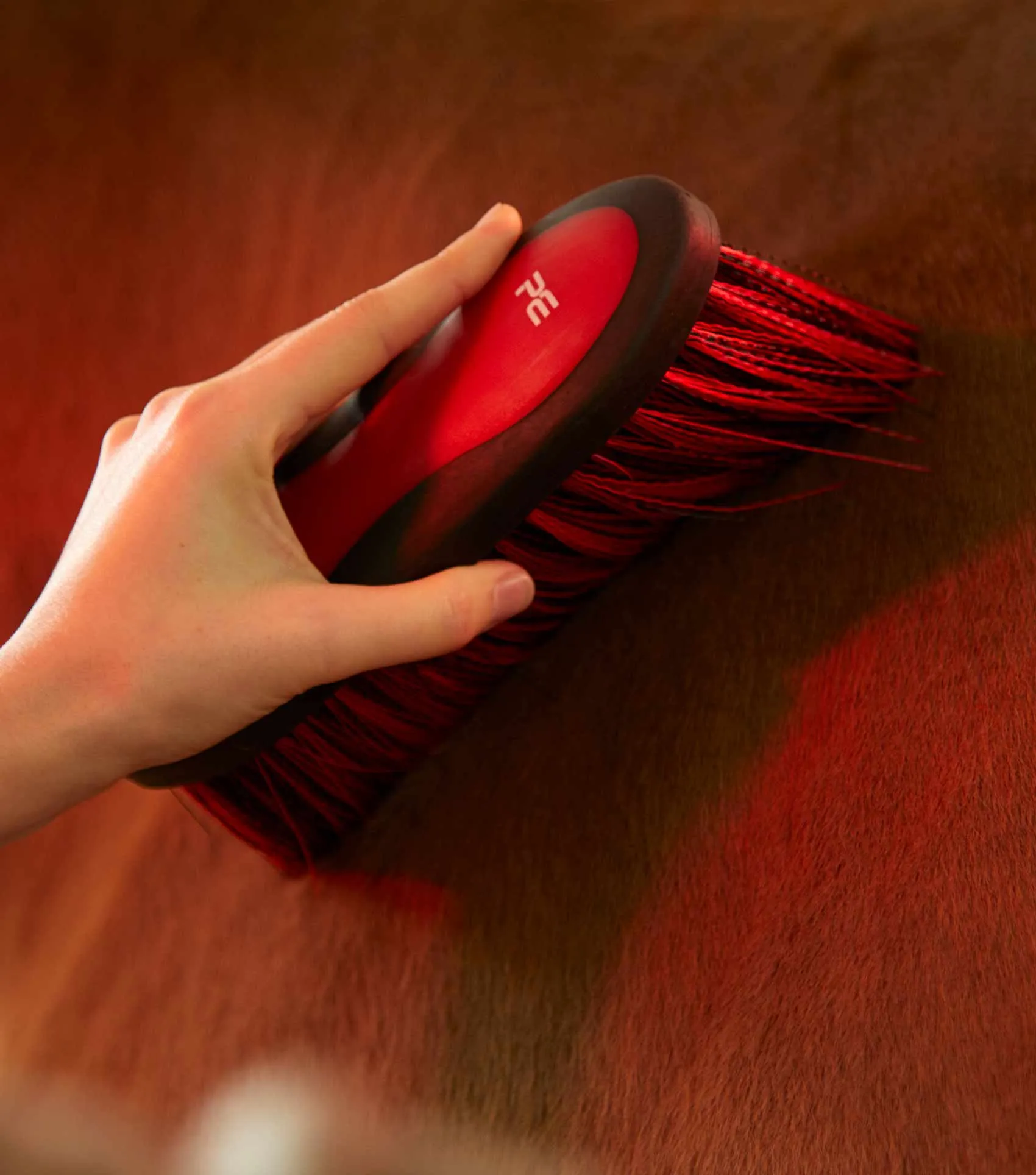 Soft-Touch Dandy Brush - Long Bristles Med Blue & Peacock