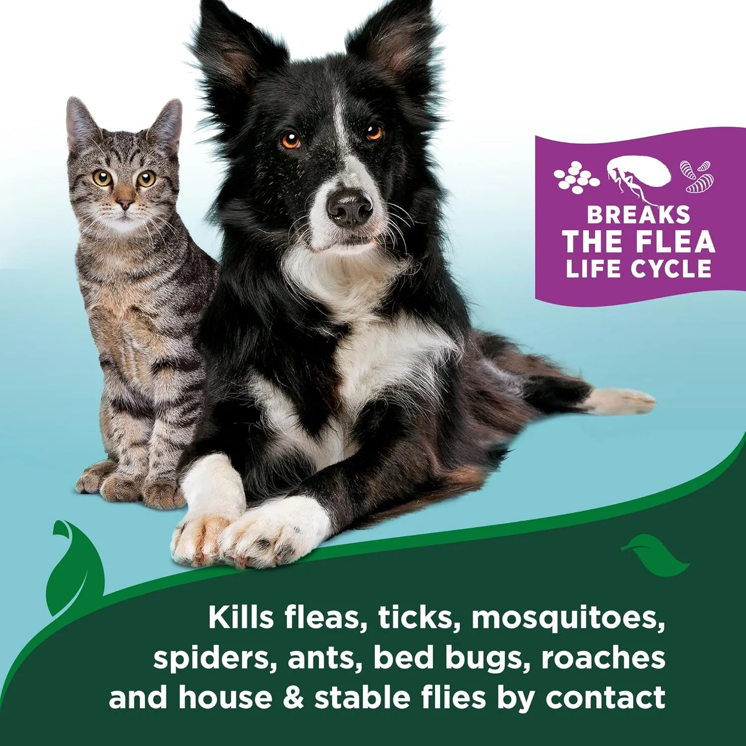 Vet's Best Flea & Tick Waterless Bath for Cats  Cat Waterless Bath  Kills Fleas & Tick  Natural Flea and Tick Prevention  Kills Fleas on Contact  8oz